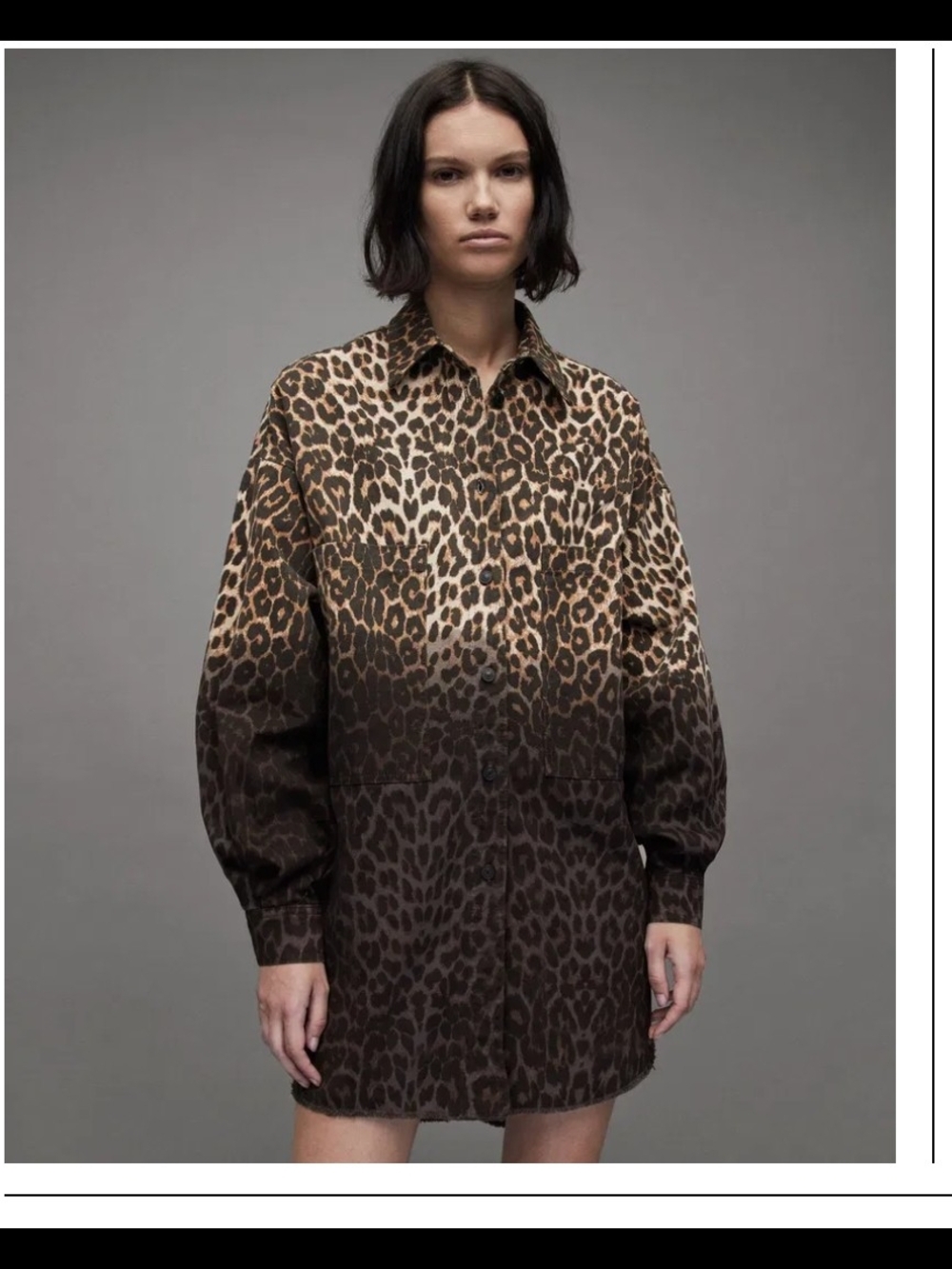 AllSaints Brown and Tan Leopard-Print Long Sleeve Dress